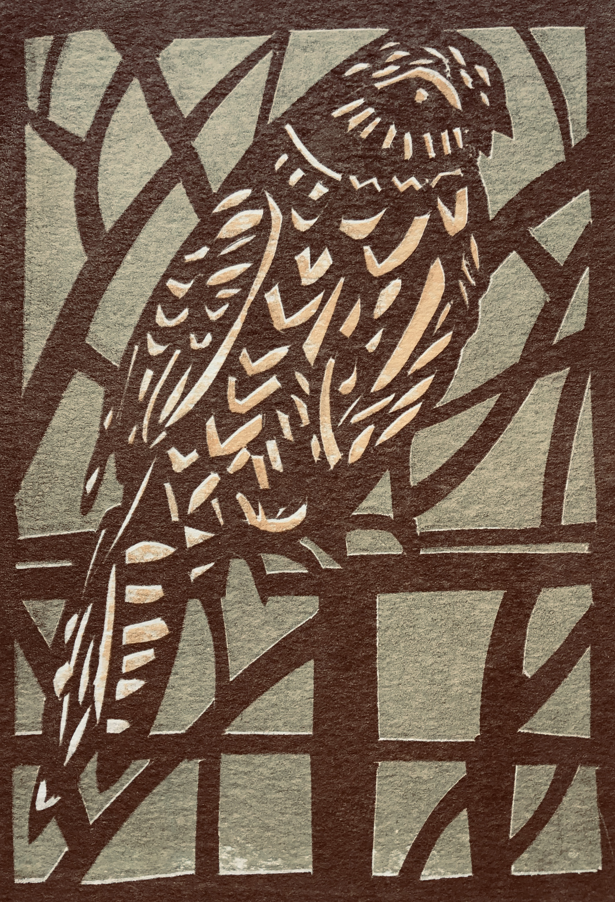 33-3 Screenprint Kestral