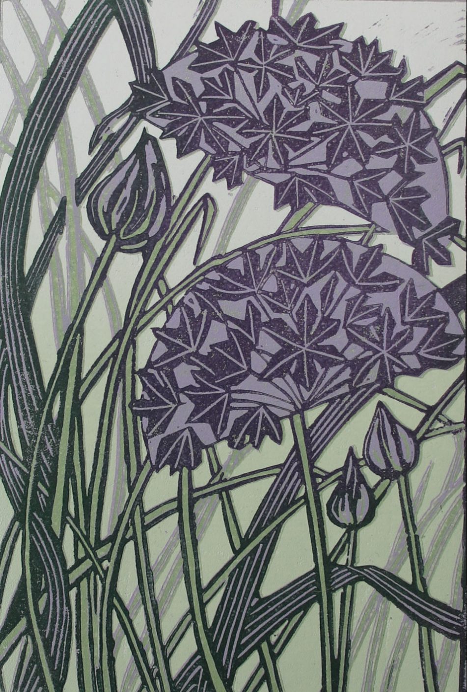 Alliums and Grasses 