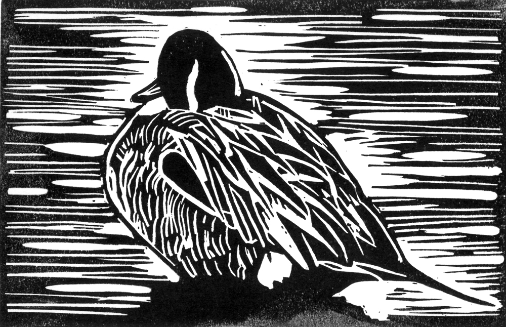 2020_39-3-CROP 2020_39-3-CROP