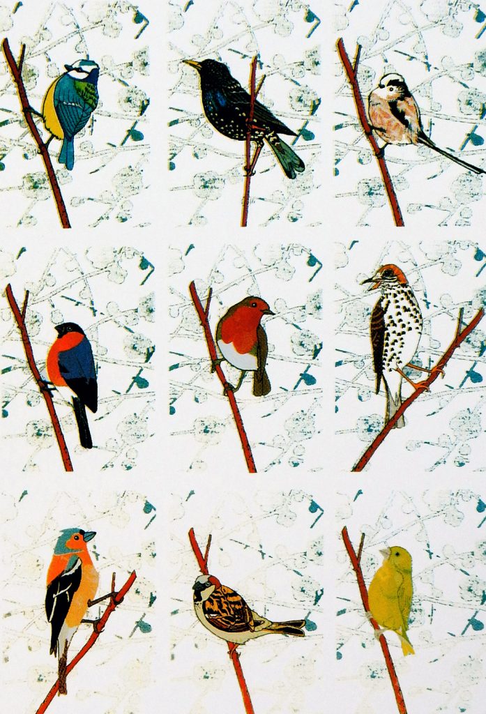 Amelia Bown - British Bird Bingo web