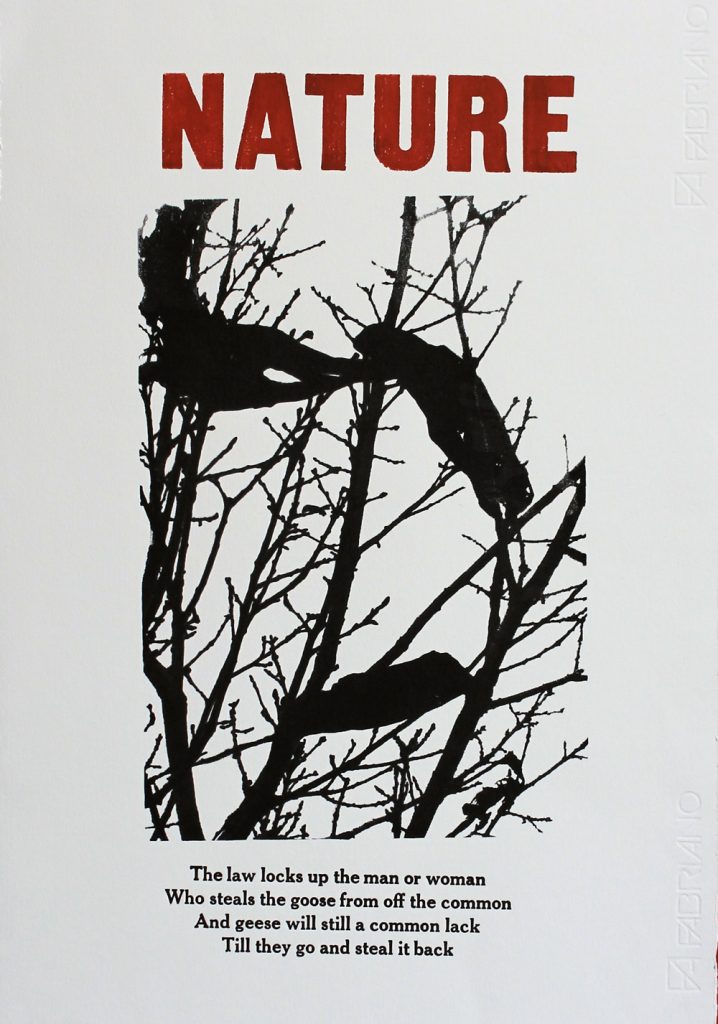 Andrew Gale - Nature web