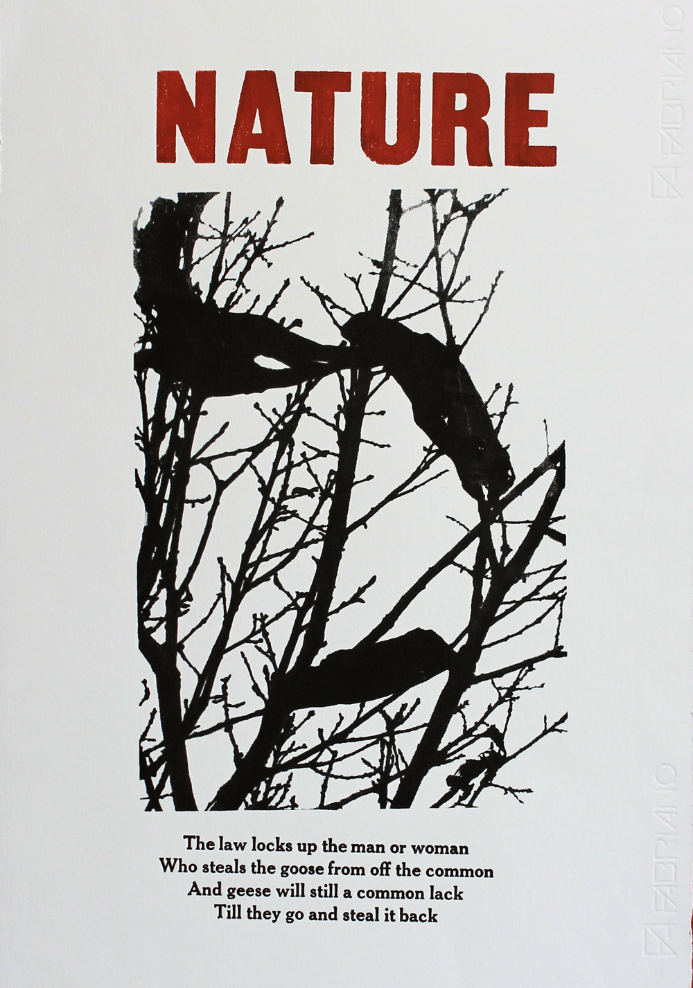 Andrew Gale - Nature web