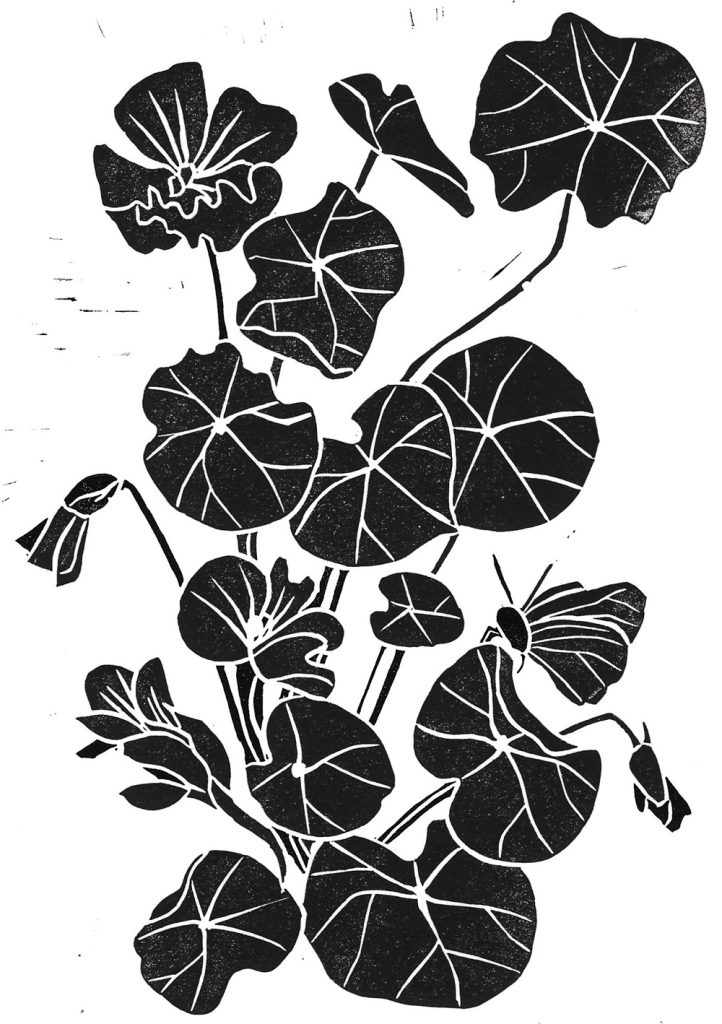 Anna Vartiainen - Nasturtium web