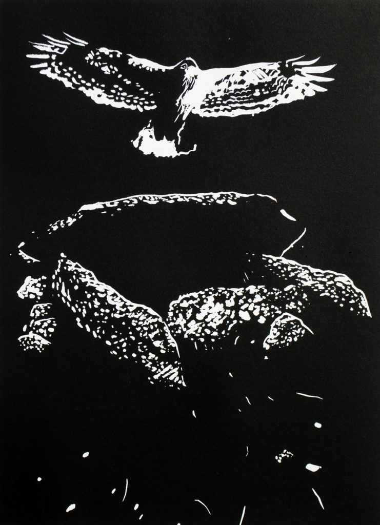 web Daniel Skinner - Guided by Voices