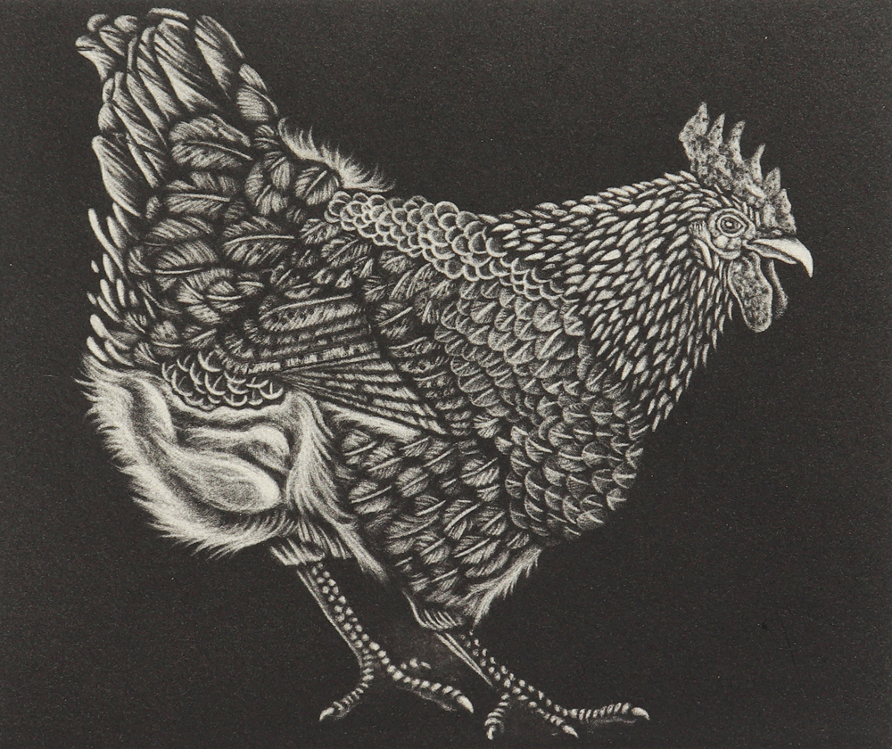 web Francis Allwood - Henrietta