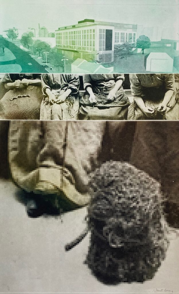 web Janet Sang - Un-Picking the Future (Brighton Workhouse Series)