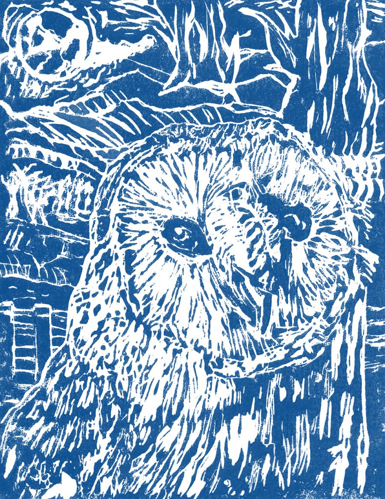 web Karen Spate - Moonlight Owl