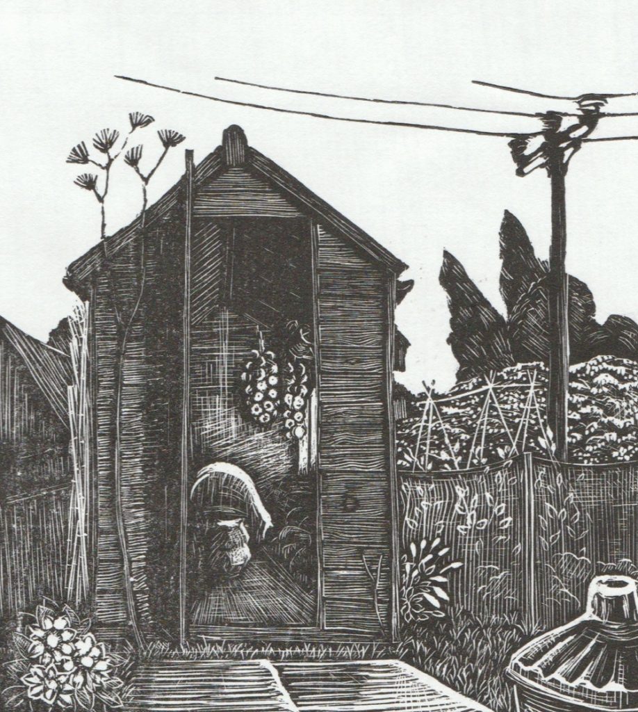 web Nic Stoker - Allotment Shed