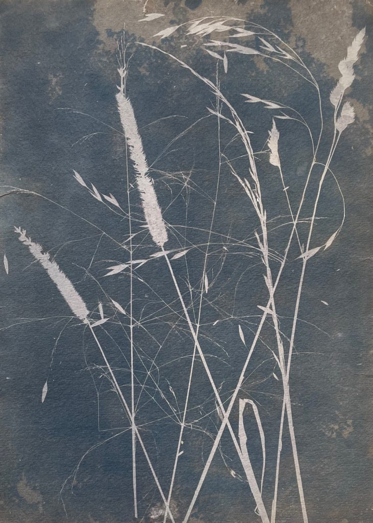 web Zoe Weston - Autumn Breeze