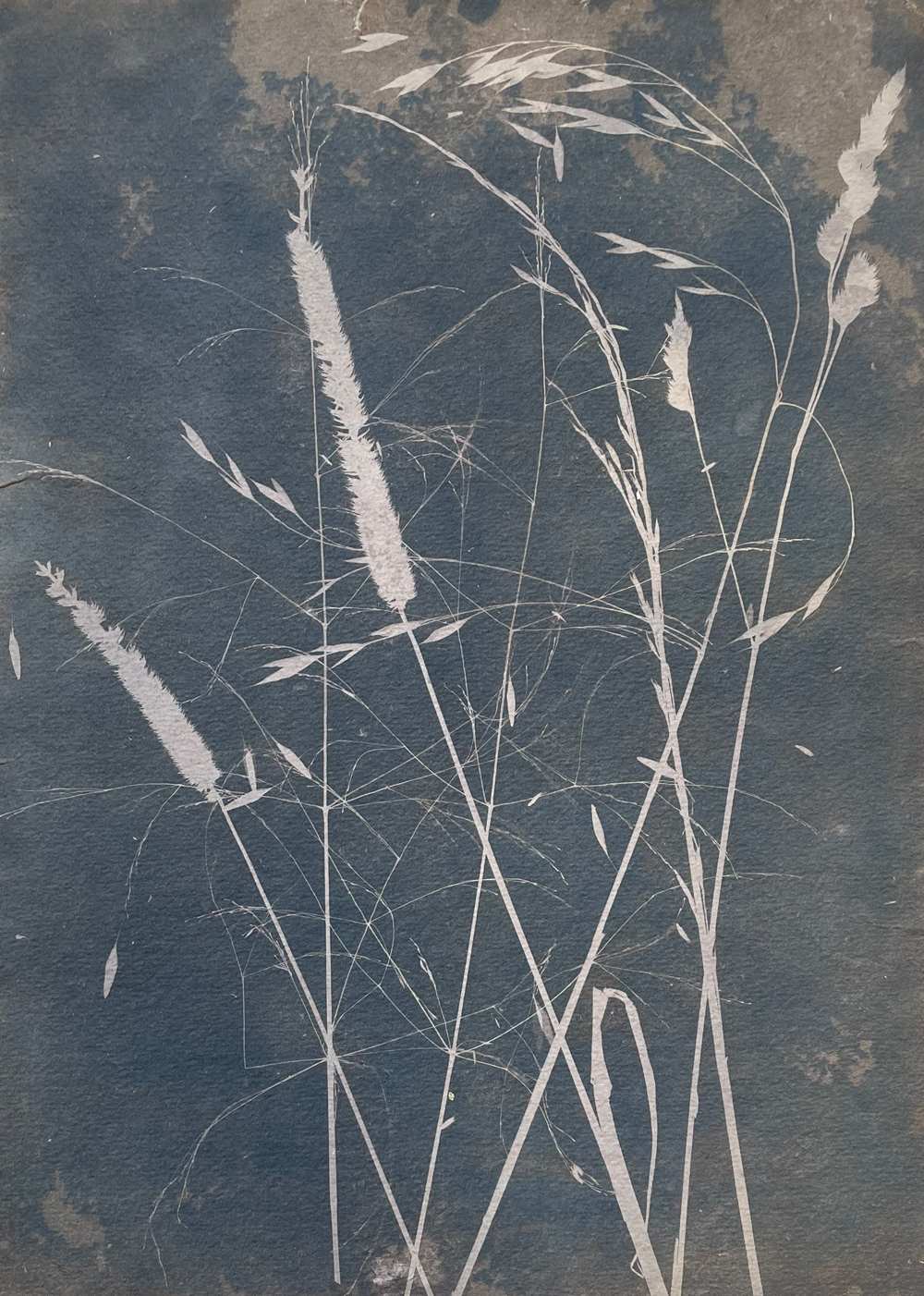 web Zoe Weston - Autumn Breeze