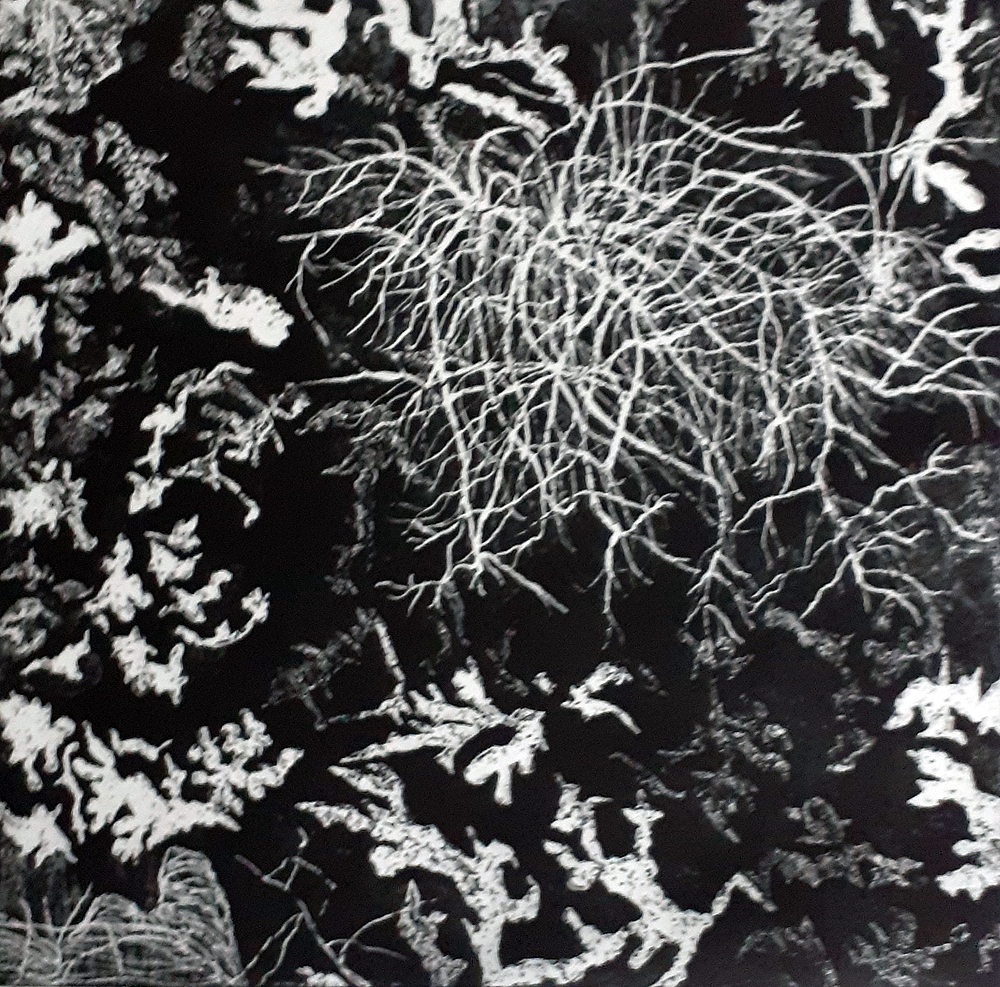 005b 005b