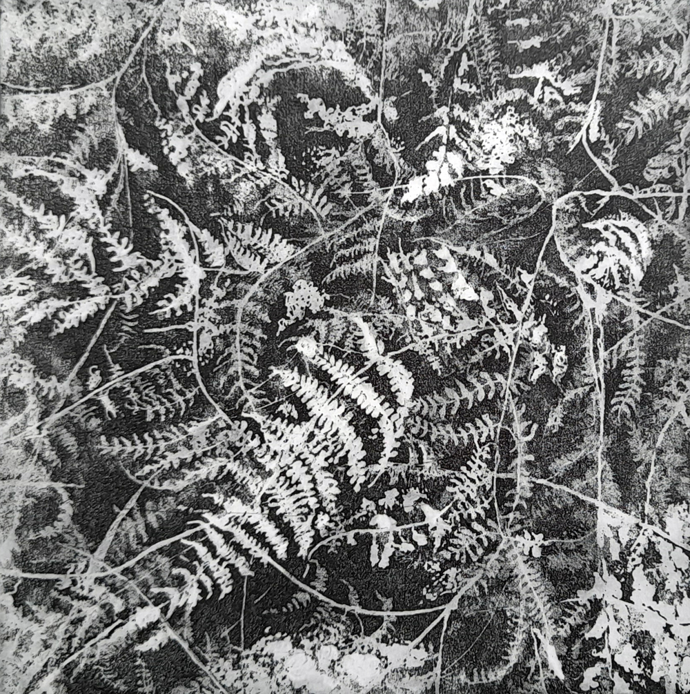 005c 005c