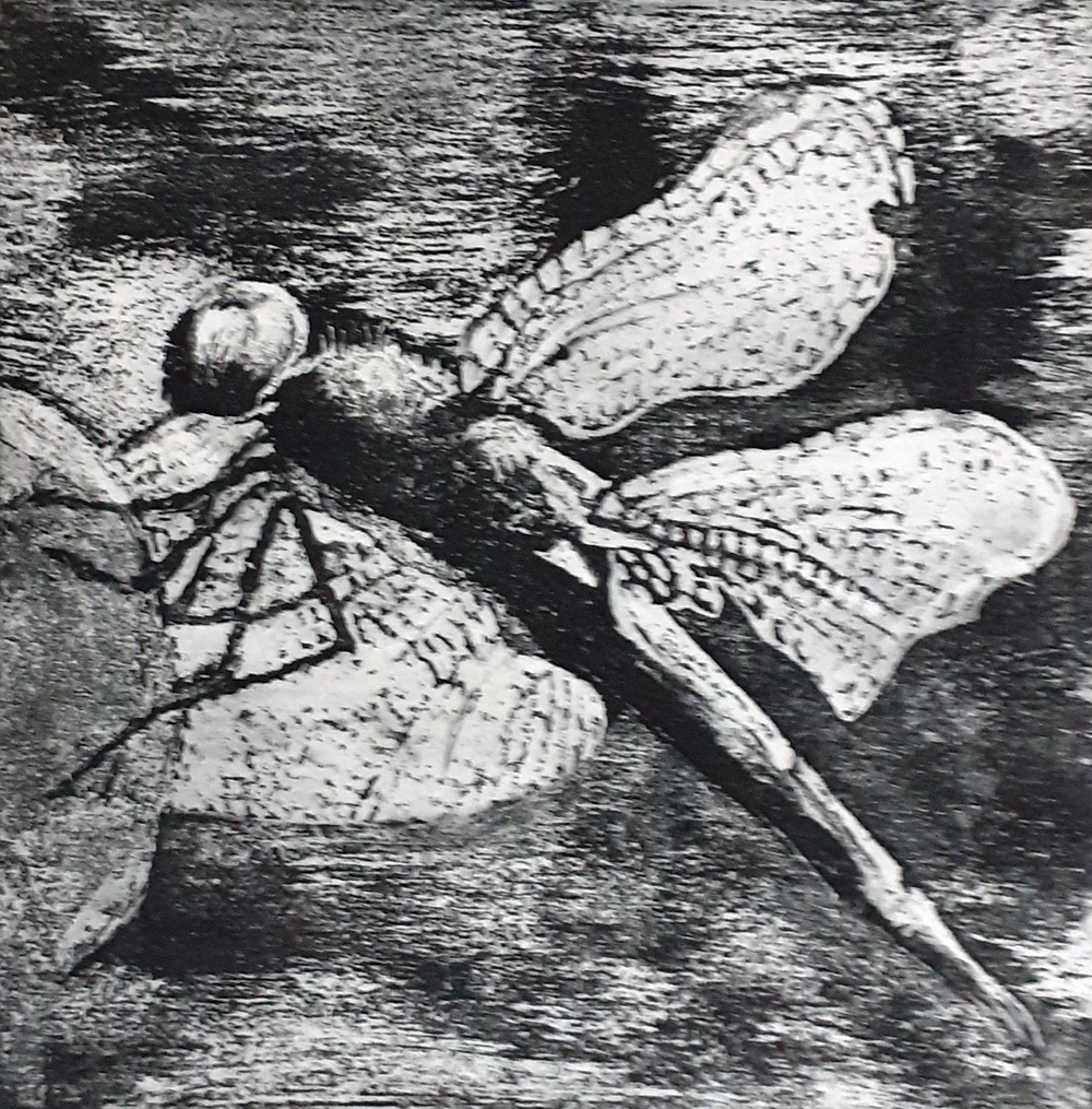 005d 005d