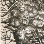 Beth Pickett - Aging, 1
