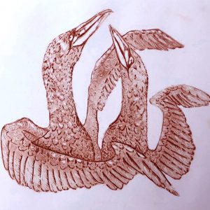 Gannet Embrace