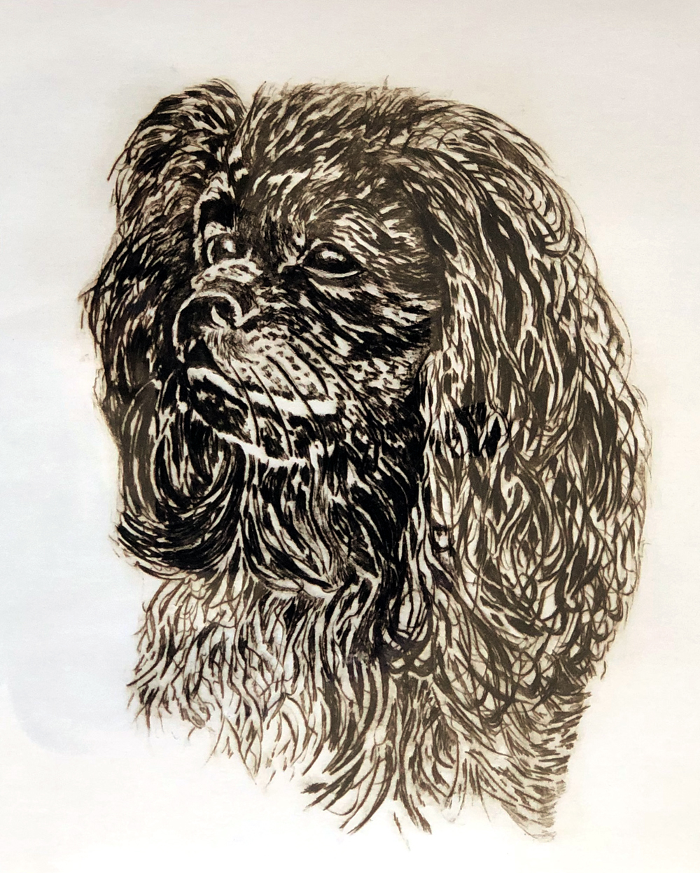 Dawn Hodgman - Proud to be a King Charles