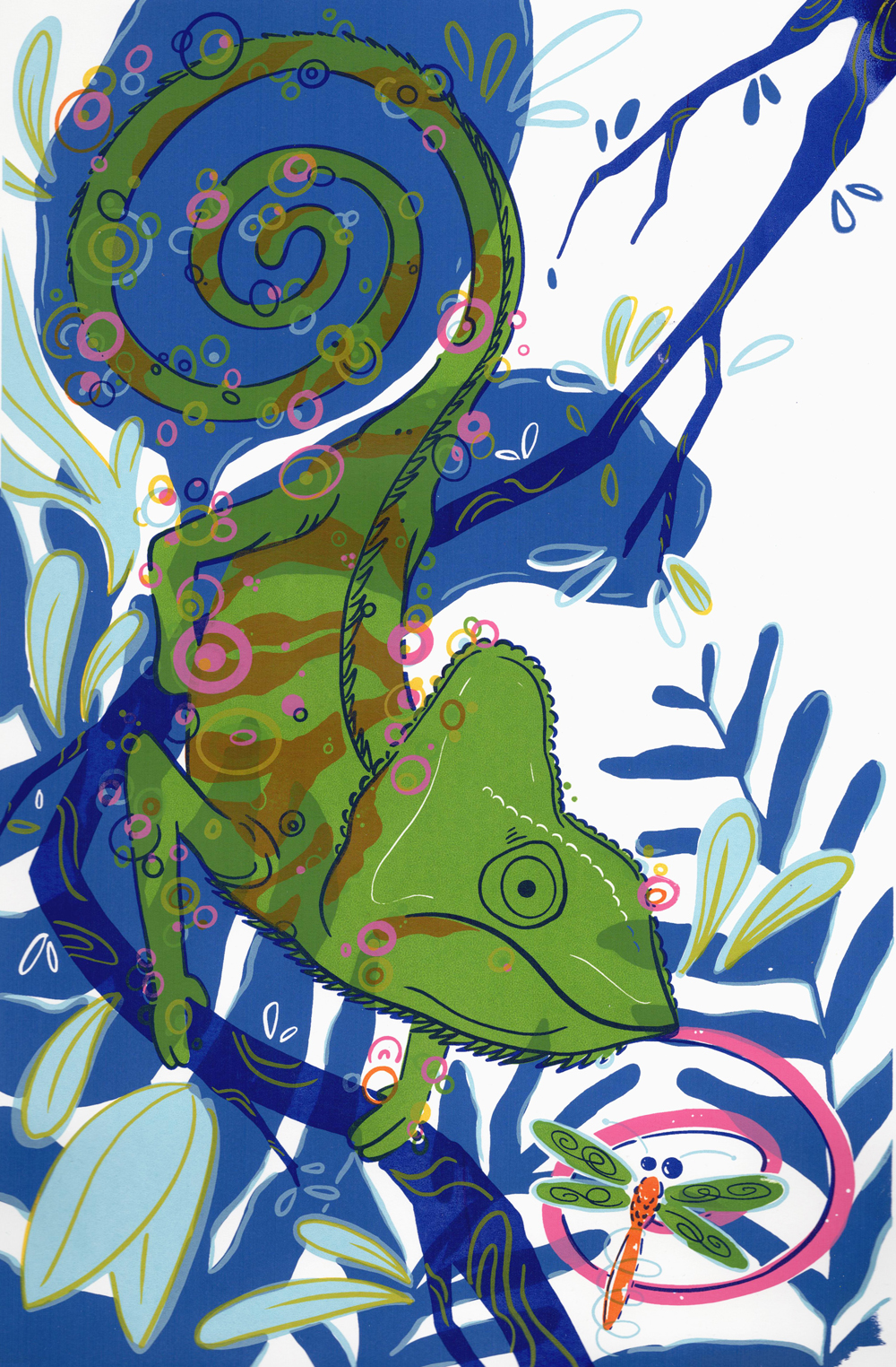 Andrea Sofía Zorrilla Mora - Chameleon 