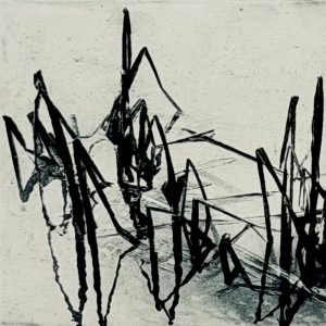 Reeds