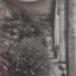 Andrew Baldwin - The Orangery 