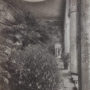 The Orangery