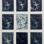 Caitlin Laing - Enclosure 