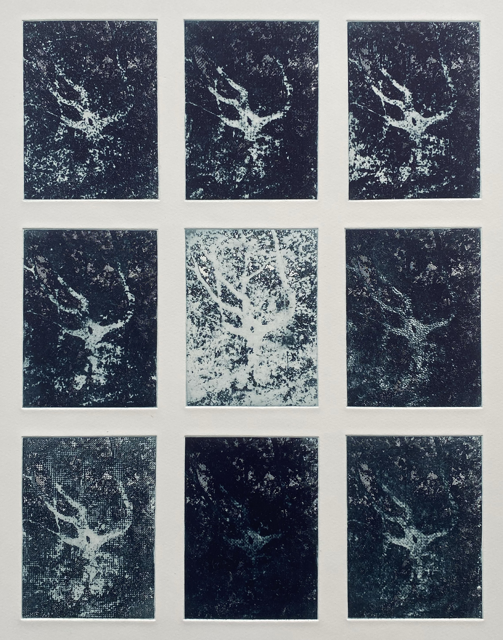 Caitlin Laing - Enclosure 