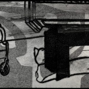 Girlfriend in a wheelchair