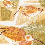 Dan Bright - Feeding Curlew
