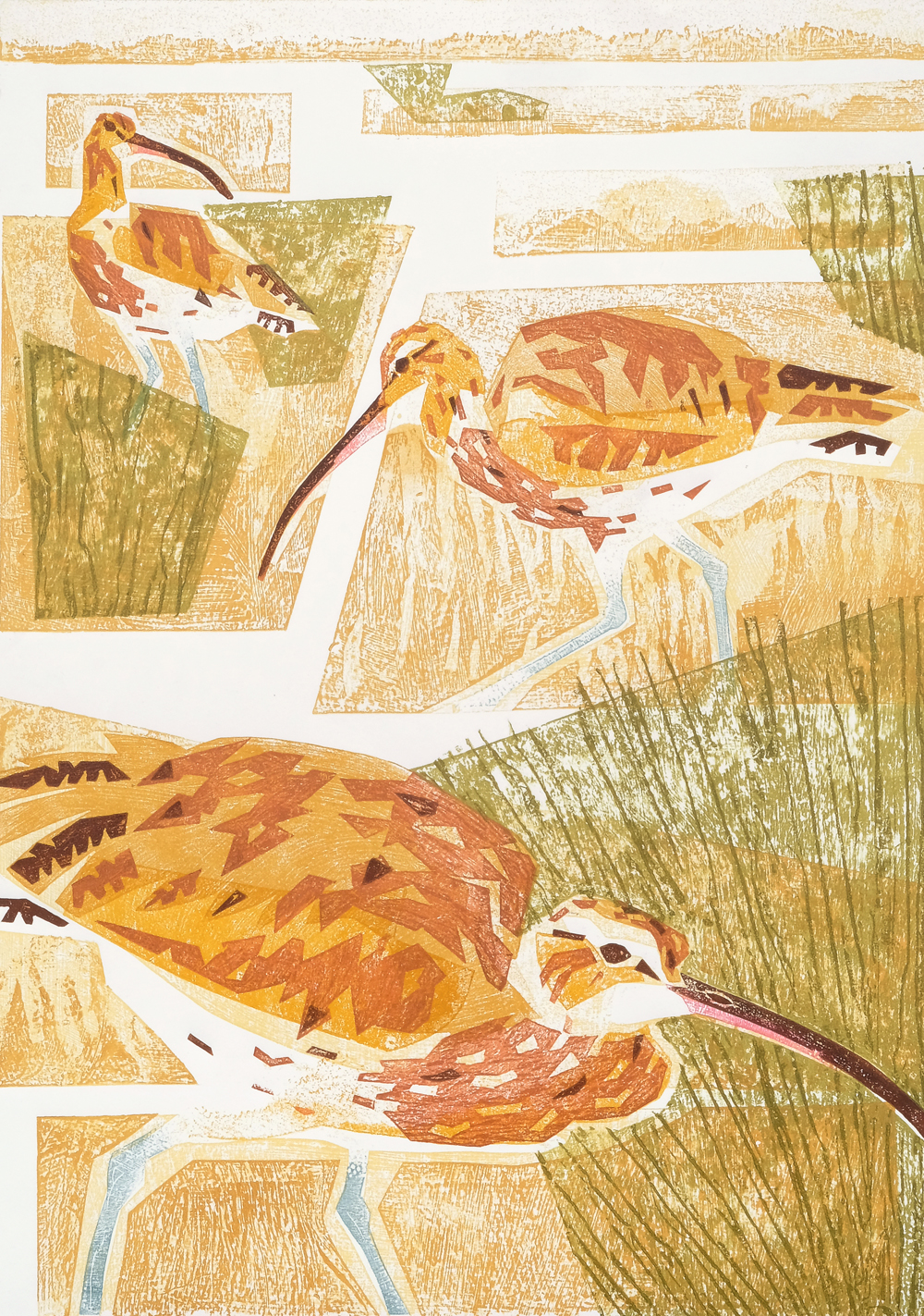 Dan Bright - Feeding Curlew
