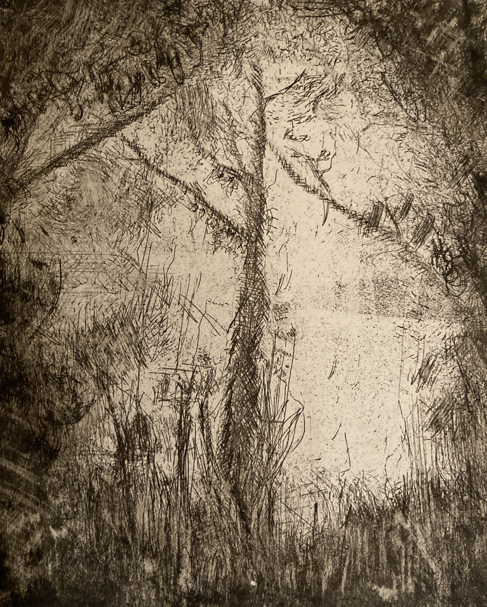 David Fishman - Dead Tree 