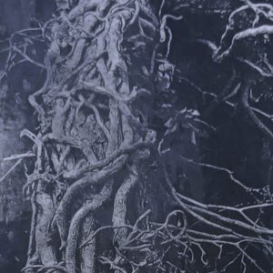 Waking the Witch