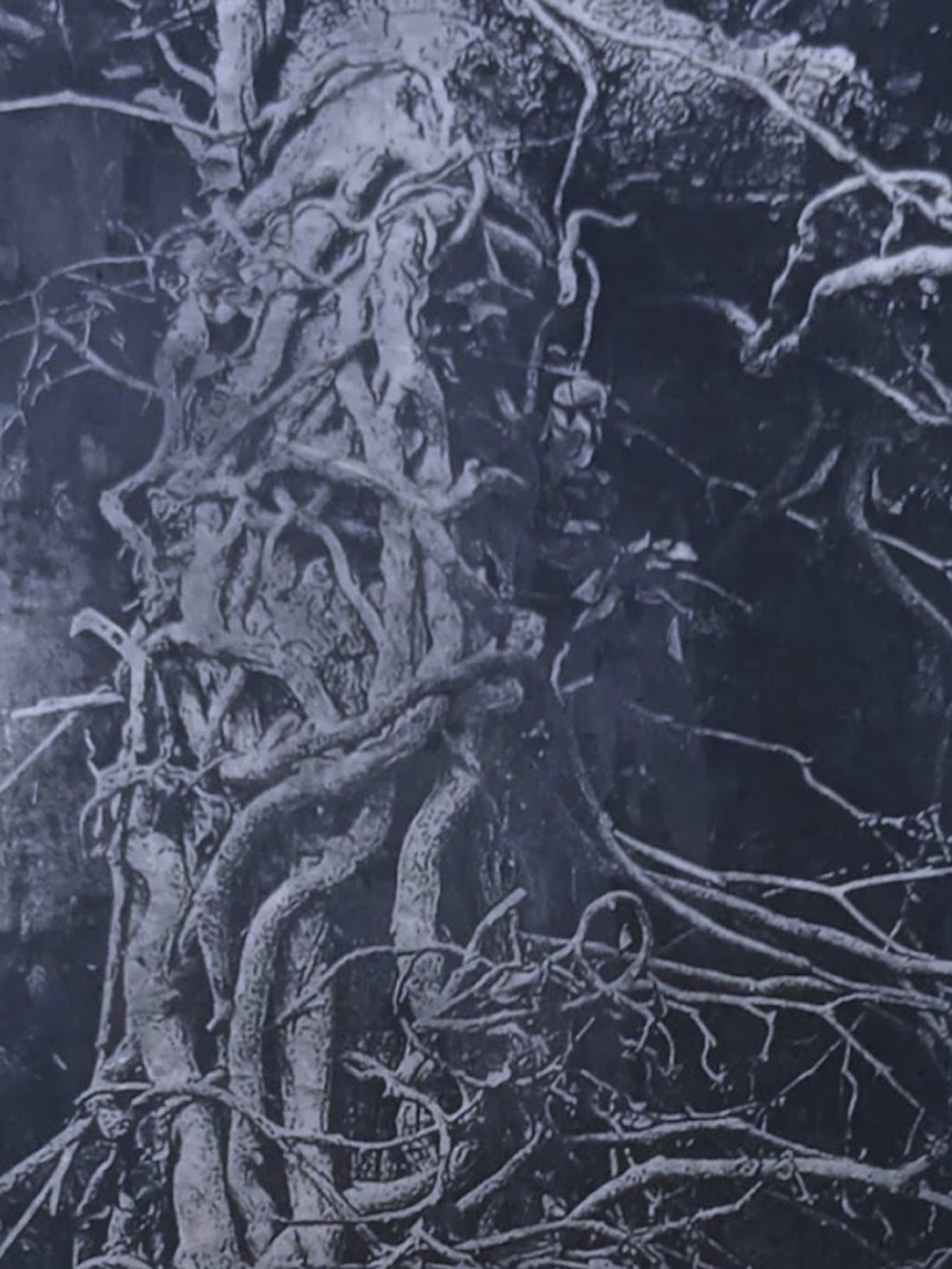 Gabrielle Read - Waking the Witch 