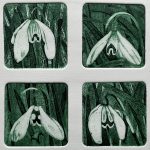 Jean Edwards - Snowdrops 