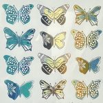 Jenni Stone - Kaleidoscope flight 