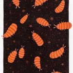 K F Read - Soil Animals 