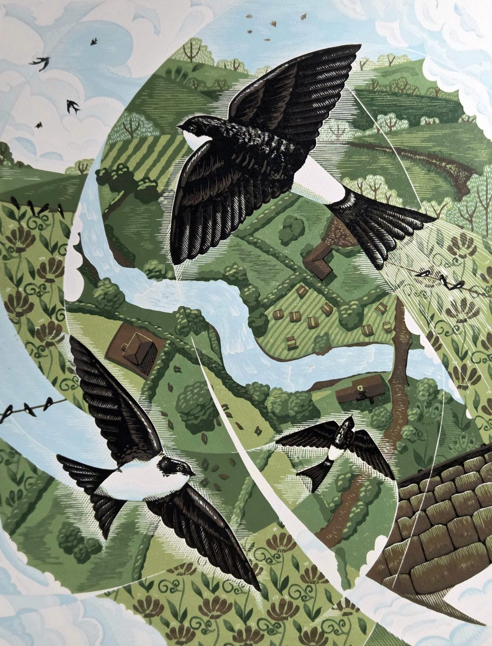 Louise Edwards - House Martins 