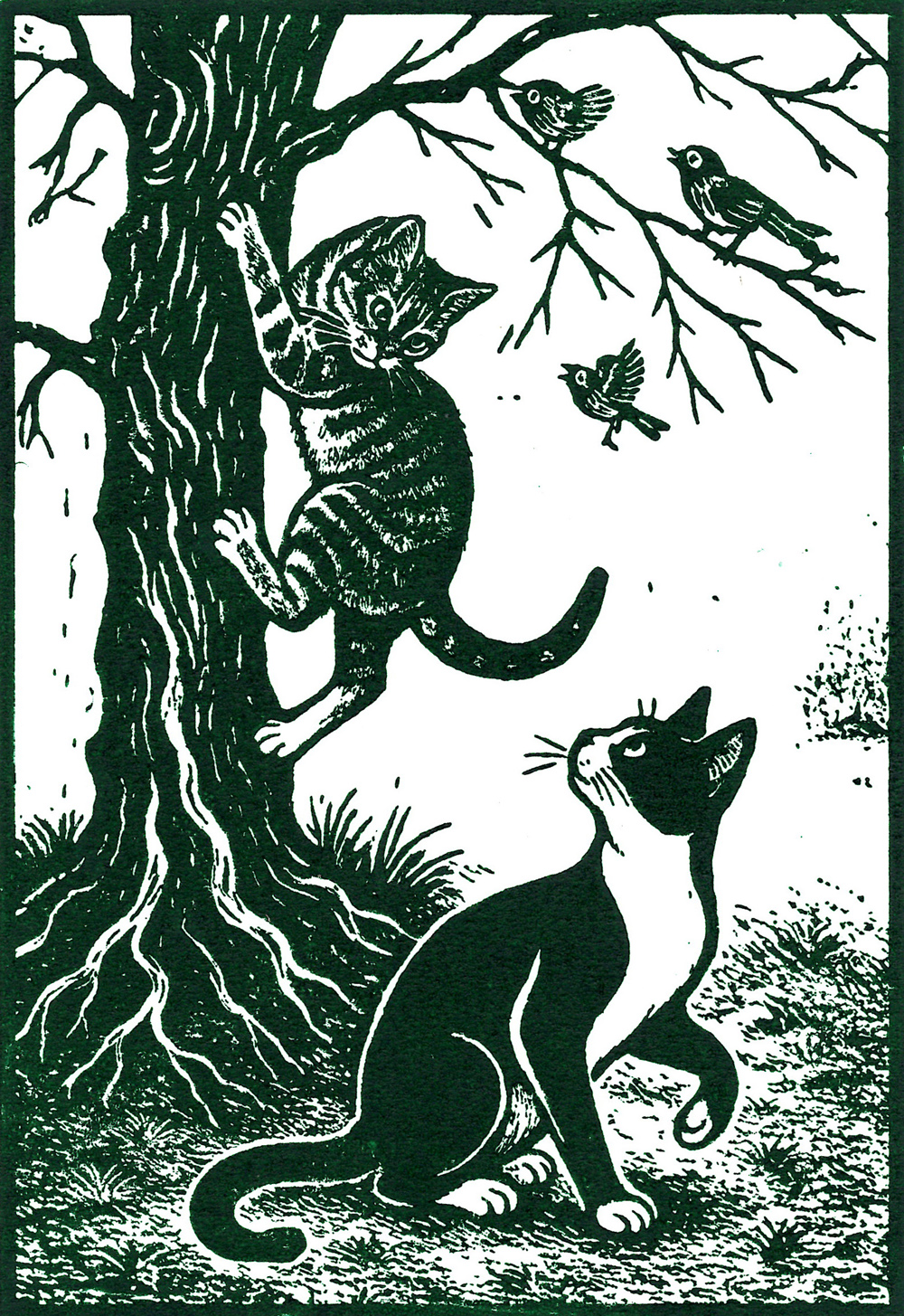 Marie Theresa South - Playful Cats
