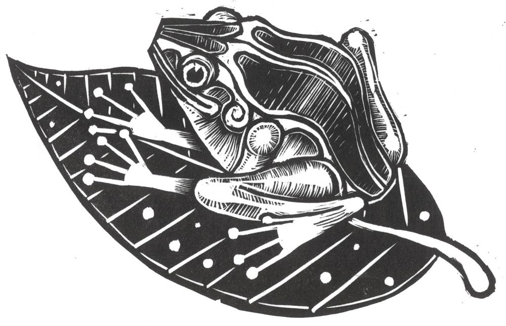 Matthew Fullwood - Frog 