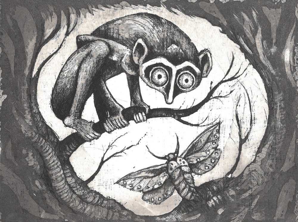 Matthew Fullwood - Nocturnal Encounter 