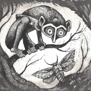 Nocturnal Encounter