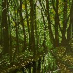 Roz Howling - Ancient oak woodland 