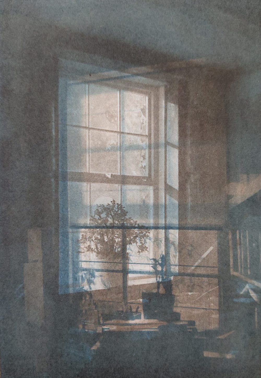 Sanctuary I - Pandora Johnson web
