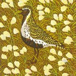 Stuart Brocklehurst - Golden Plover 