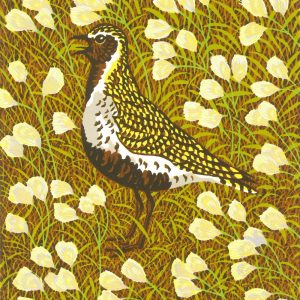 Golden Plover