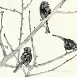 Suzy Ager - The Gathering 