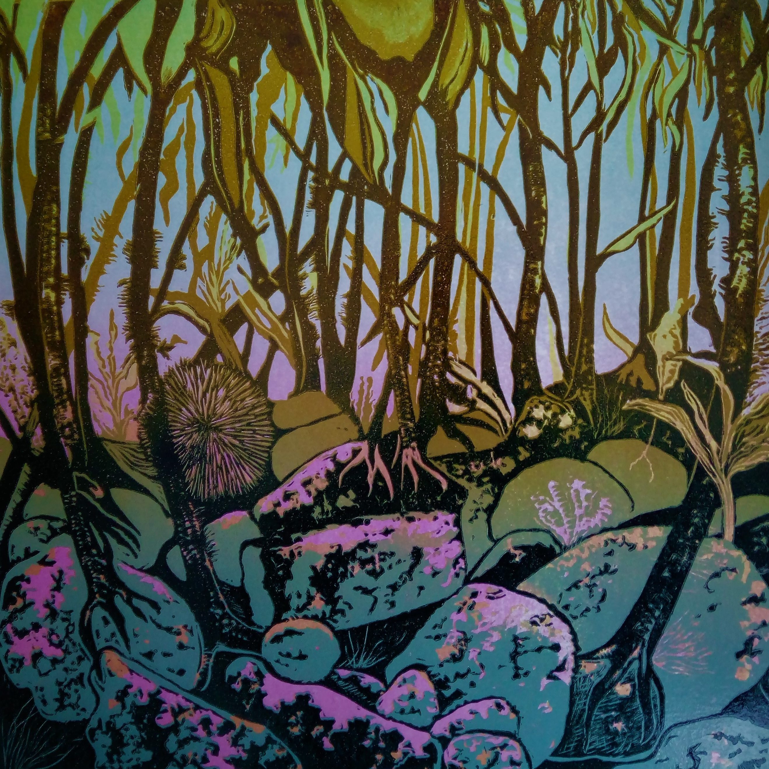Kelp Forest, Ocean World series