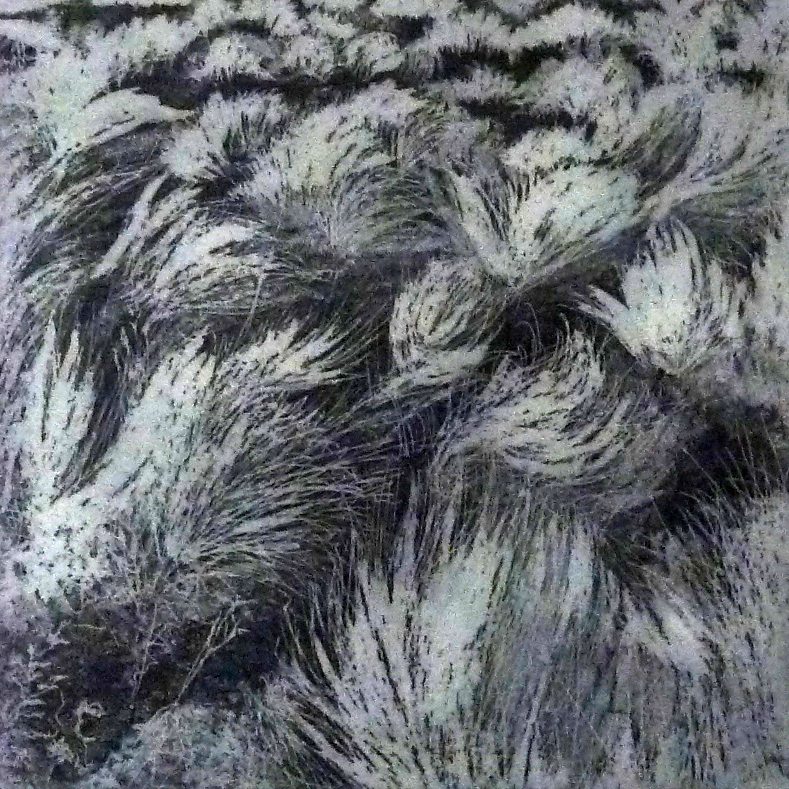 14-2 Etching with Aquatints