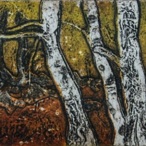 Birch Trees
