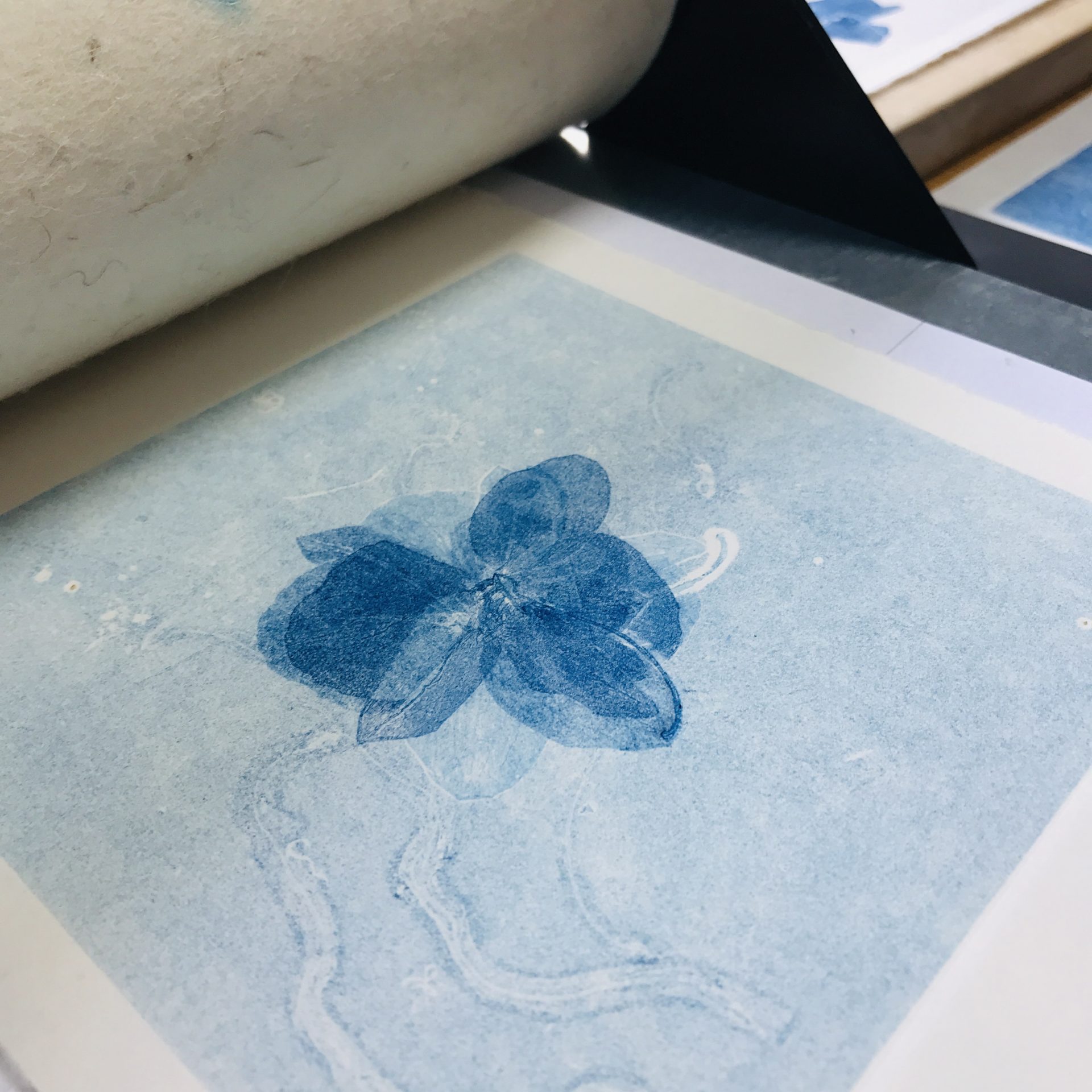 901A7C4D-AFE4-409D-A60A-5528BCE55447