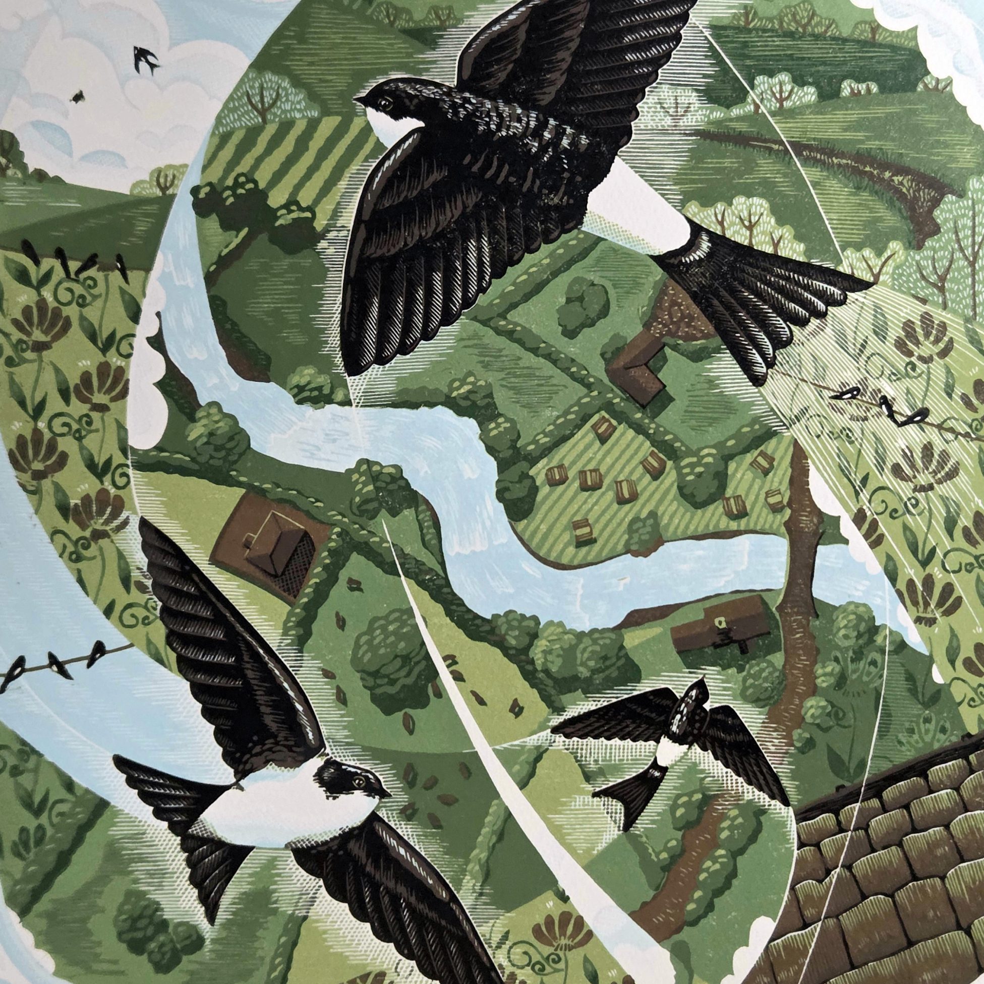 Louise Edwards - House Martins 